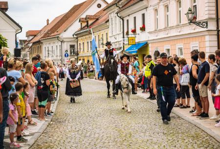 Povorka ob dnevih narodnih noš in oblačilne dedščine (62)